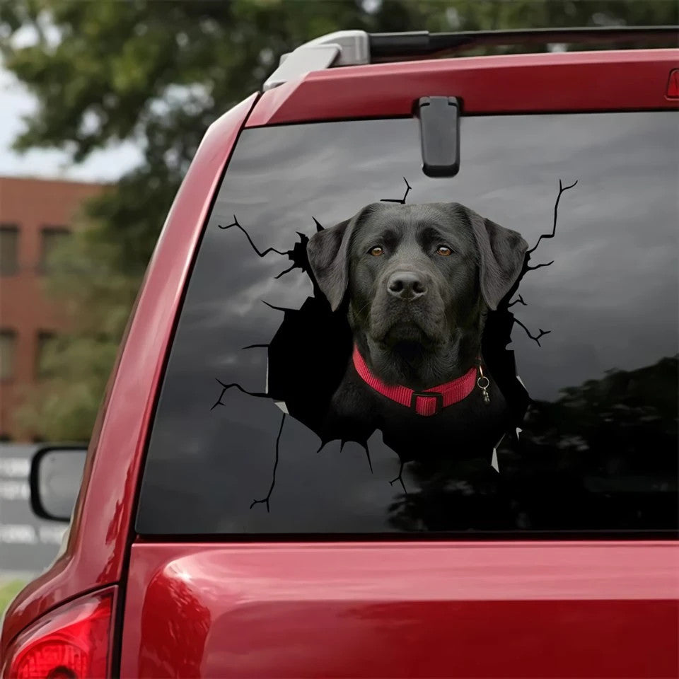 3D Hunde Autoaufkleber
